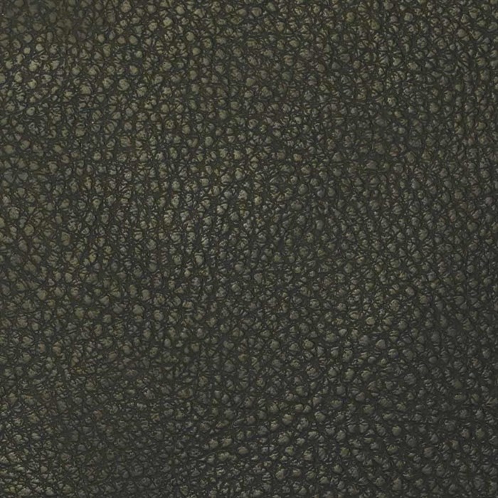 Экокожа Brandy Coventry Black - фото