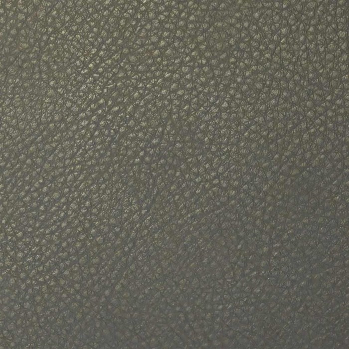 Экокожа Brandy Coventry Antracite - фото