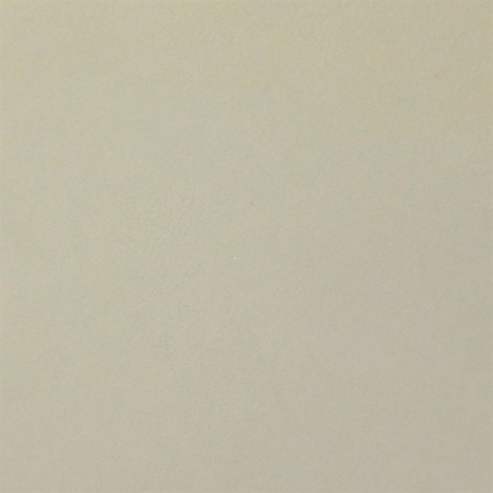 фото экокожи Nappa Brandy Lt Grey