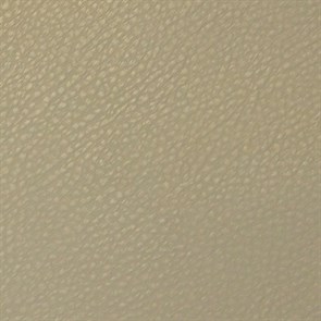 Экокожа Brandy Coventry Lt khaki - фото
