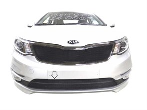 {{productViewItem.photos[photoViewList.activeNavIndex].Alt || productViewItem.photos[photoViewList.activeNavIndex].Description || 'Сетка в бампер Kia Rio  нижняя с 2015 г.в.'}}