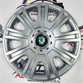 Колпаки на колеса Шкода Рапид R15 SKS-Teorin 15319 - фото
